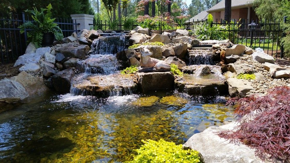 Evans Landscaping for a  Spaces with a Walkway and Koi Pond with Waterfalls and Patio / Walkway in Blythewood Sc by Mccormick Landscaping / Aquatic Solutions