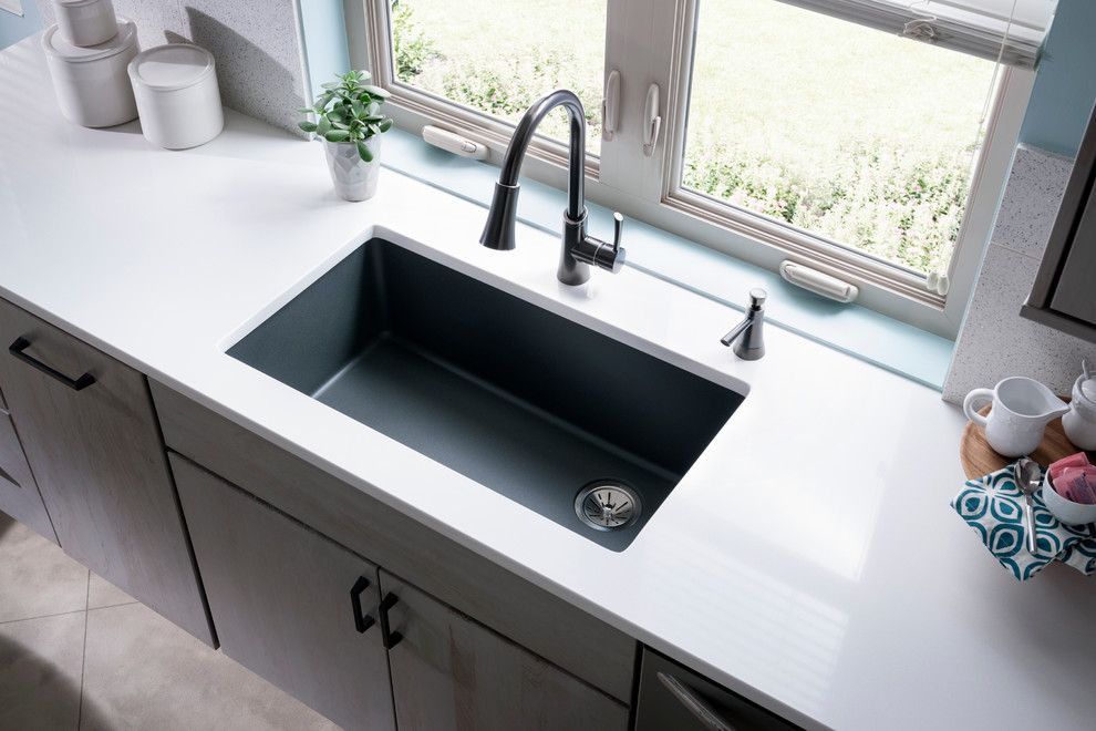 Female Cat Spraying for a Contemporary Spaces with a Contemporary and Elkay Sinks and Faucets by Elkay Sinks and Faucets