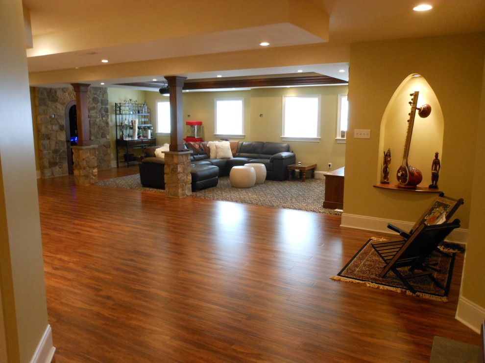 Female Cat Spraying for a Traditional Spaces with a Haverford and Finished Basement in Cherry Creek West Chester, Pa by Tatcor.com Building and Remodeling