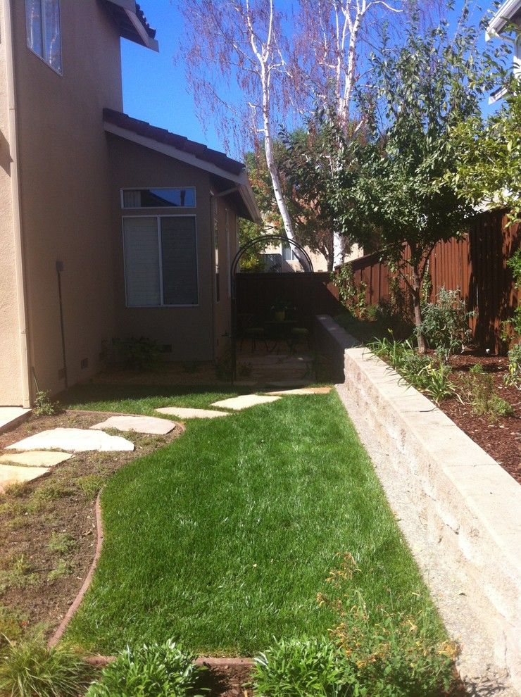 Four Paws and a Tail for a Eclectic Spaces with a Kangaroo Paw and Private Garden From Lawn Reduction by Kl Designs Residential Landscape Planning Llc