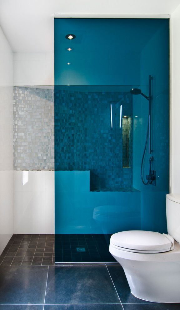 Glassed for a Contemporary Bathroom with a Blue Shower Partition and Goldeneye by Reader & Swartz Architects, P.c.