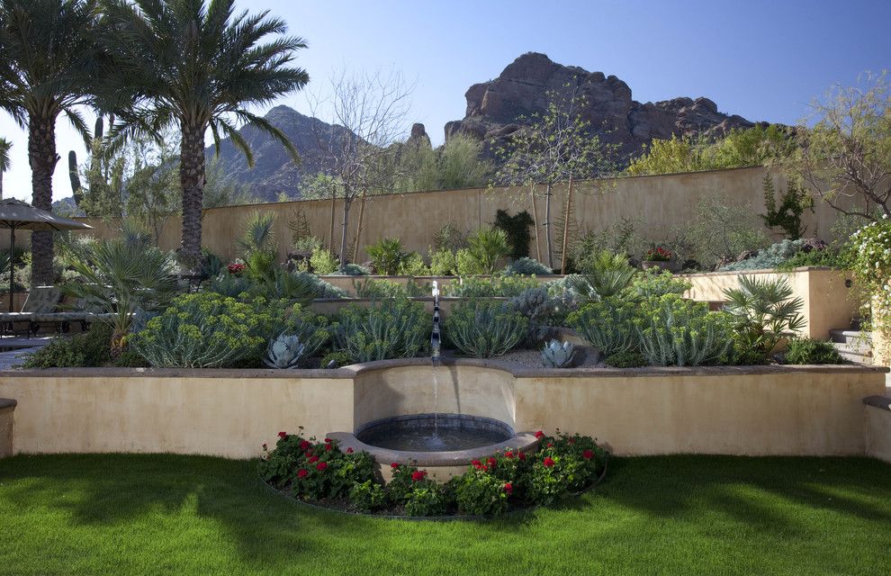 Gopher Plant for a Mediterranean Landscape with a Cactus and Runnel Fountain by Exteriors by Chad Robert