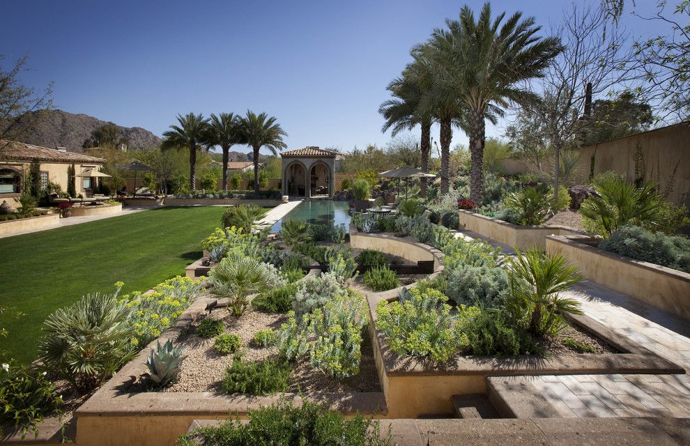 Gopher Plant for a Mediterranean Landscape with a Turf and Stepped Planters by Exteriors by Chad Robert