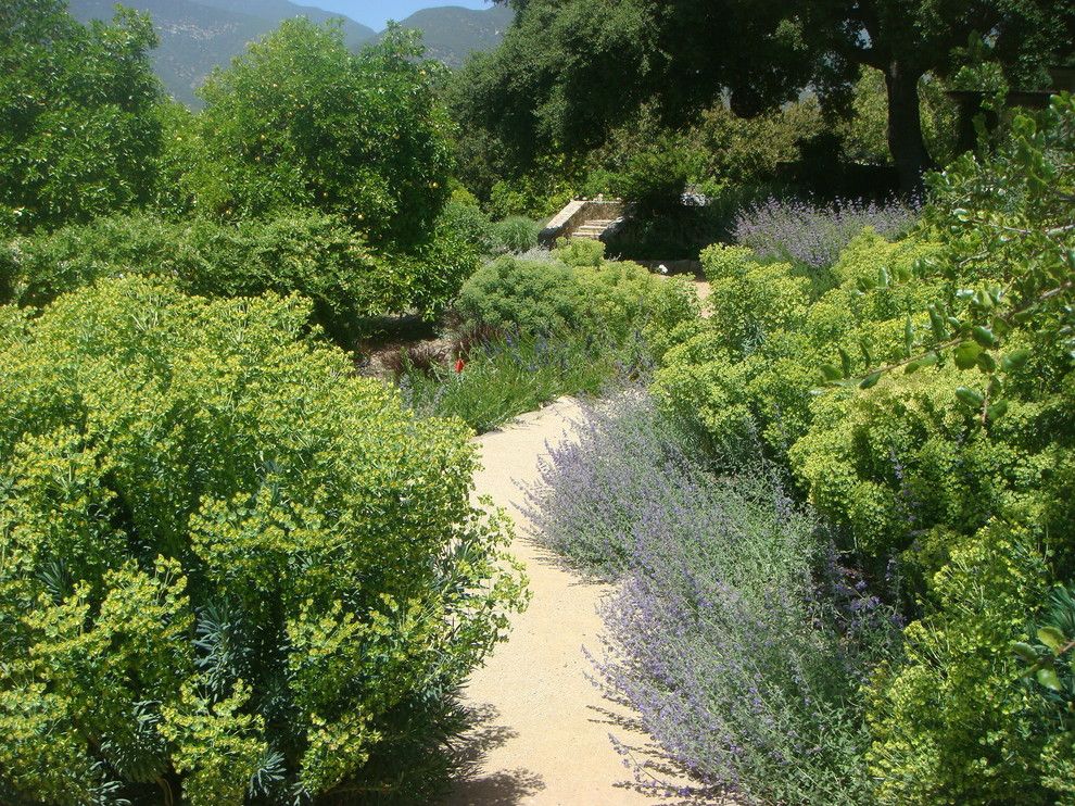 Gopher Plant for a Transitional Landscape with a Custom Landscape and Drought Tolerant Pathway by Green Goddess Gardens, Inc.