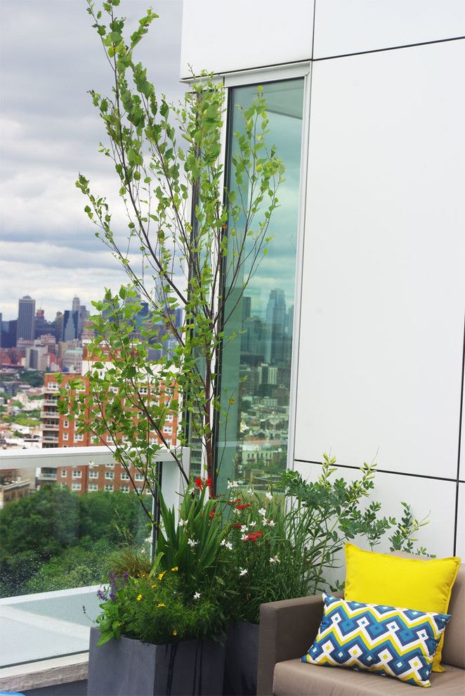 Grand Hyatt Nyc for a Modern Landscape with a Container Garden and Grand Army Plaza Rooftop Garden Ii by Staghorn Nyc