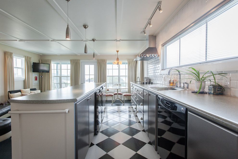 Great Dane Harlequin for a Beach Style Kitchen with a Small Pendant Lights and Small Space Living in Outport Community, Port Rexton by Becki Peckham