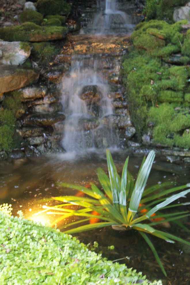 Greek Isles Charlotte for a Beach Style Landscape with a Palm Tree and Tropical Backyard Oasis   Waterfall and Koi Pond by Yardworks, Inc.