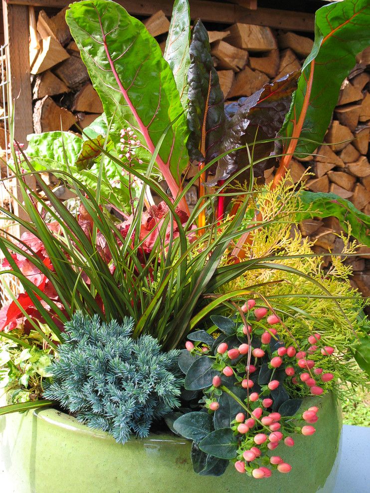 Green Thumb Ventura for a  Landscape with a Conifer and Conifers in Containers by Le Jardinet