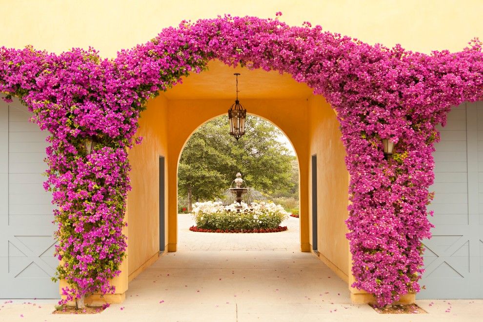 Hardiness Zone Map for a Mediterranean Landscape with a Flower Arch and Summit by Biglin Architectural Group