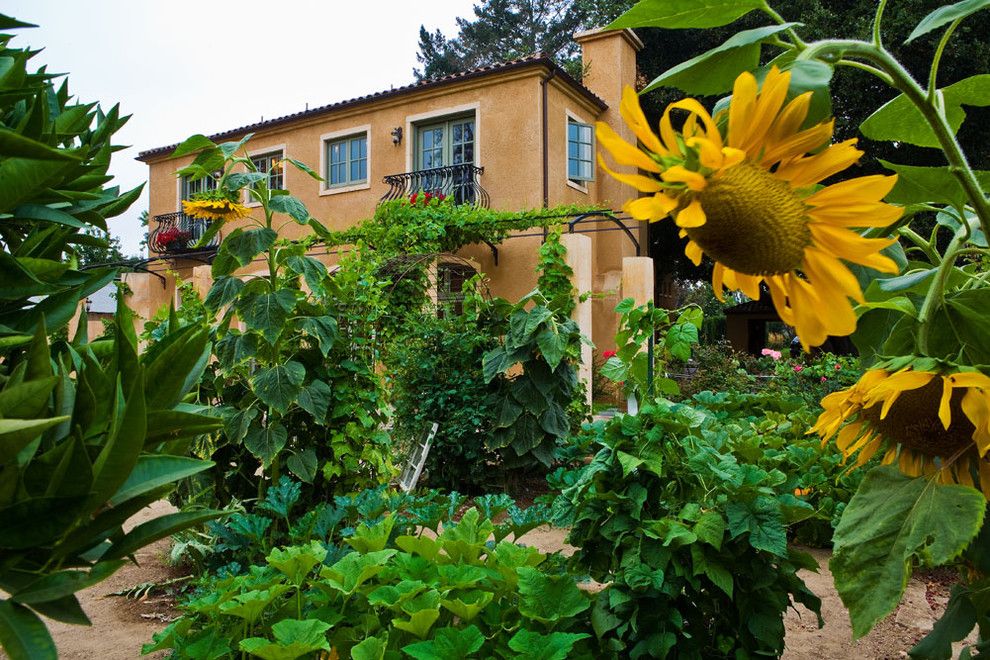 Hop Trellis for a Mediterranean Exterior with a Tile Roof and Villa Terra by Noel Cross+Architects