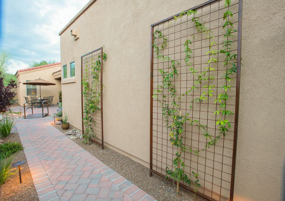 Hop Trellis for a Southwestern Landscape with a Ground Lights and Transformed Tucson Courtyard by Santa Rita Landscaping, Inc.