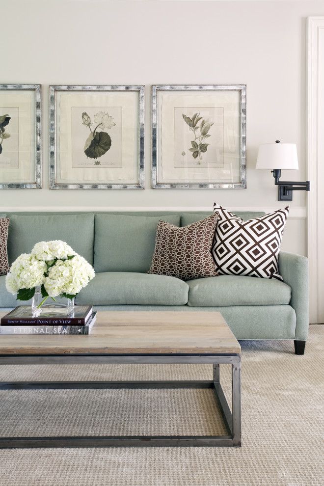 How to Clean Couch Cushions for a Transitional Family Room with a Wall Decor and Pleasant Valley by Tobi Fairley Interior Design