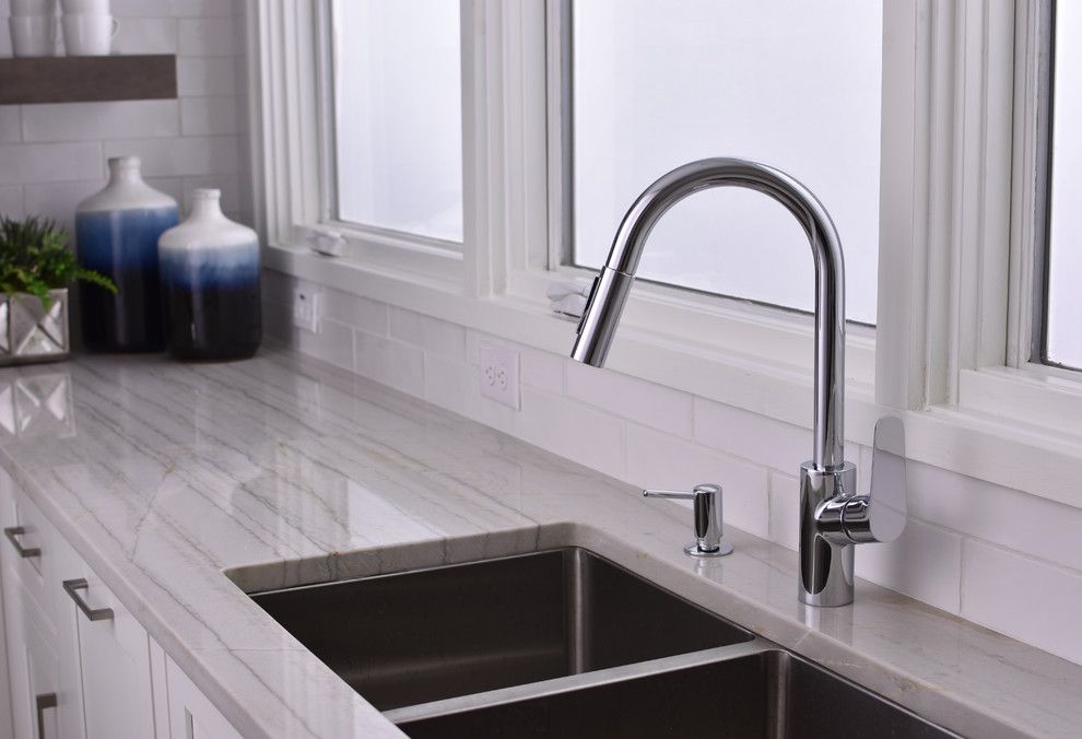 How to Fix Garbage Disposal for a Modern Kitchen with a Double Sink and Hansgrohe by Hansgrohe Usa