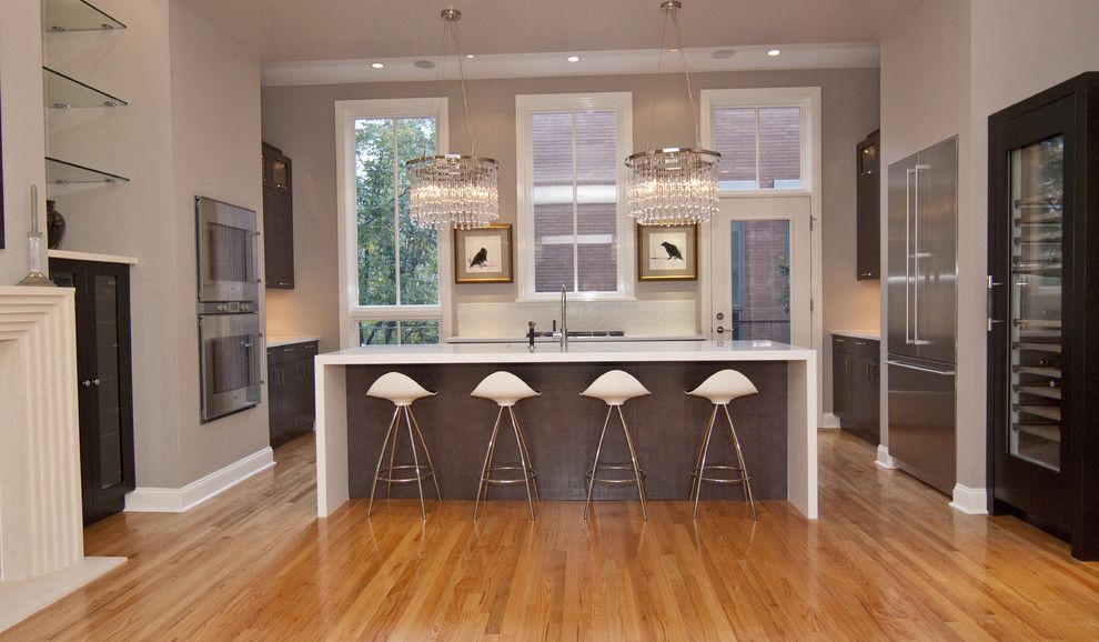 How to Get Rid of Ants in Kitchen for a Contemporary Kitchen with a Wine Fridge and Kitchen Opens to Great Room by Neff of Chicago Custom Cabinetry and Design Studio