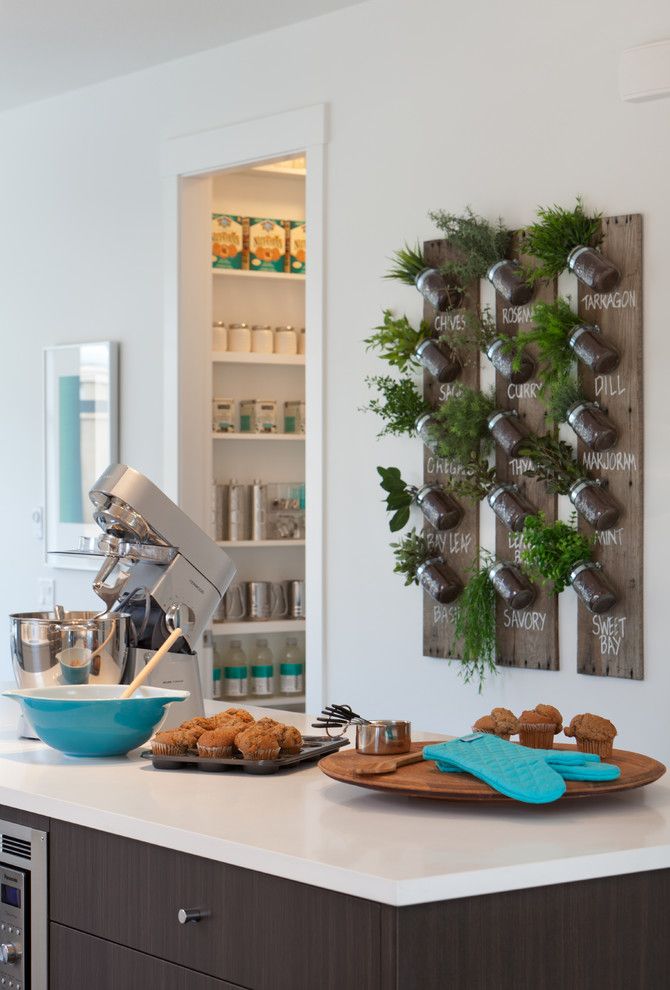 How to Get Rid of Moths in Pantry for a Contemporary Kitchen with a Wood and Roxton by Portico Design Group