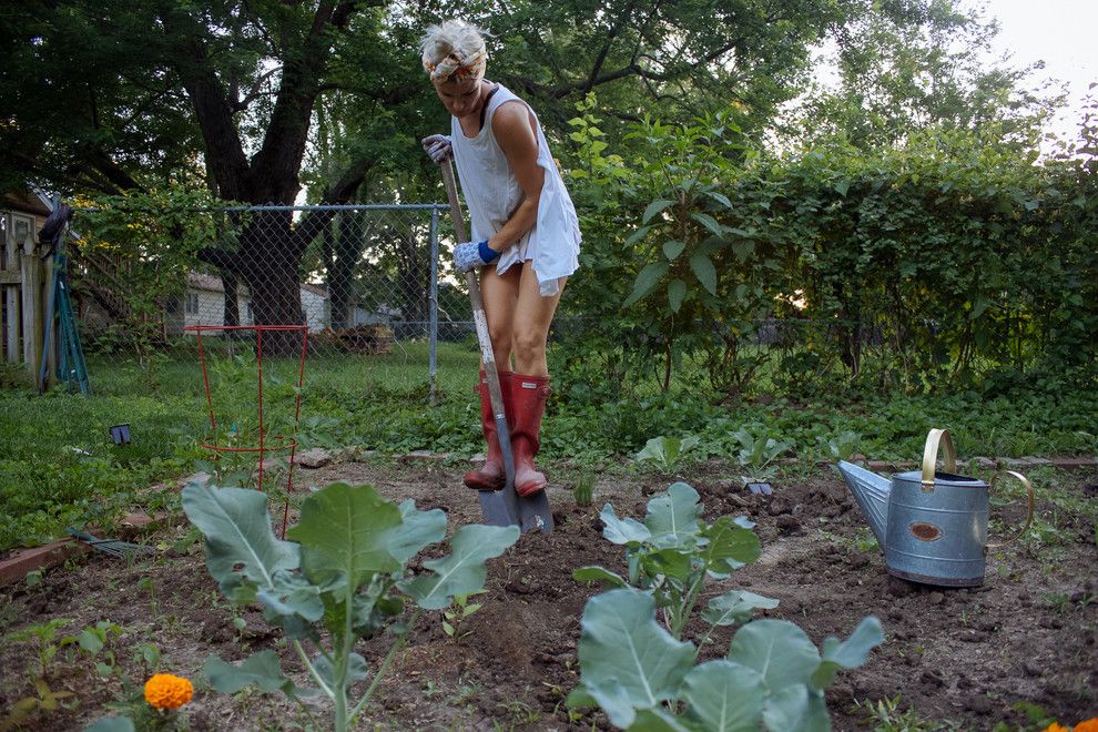 How to Grow Beets for a Farmhouse Spaces with a Farmhouse and My Houzz: Backyard Farming for a Kansas City Family by Jordana Nicholson