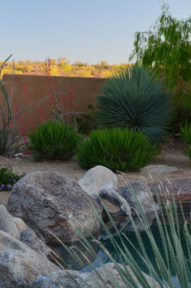 Hummingbird Habitat for a Southwestern Landscape with a Landscape Design and Camino Arizona by Landscape Design West, Llc