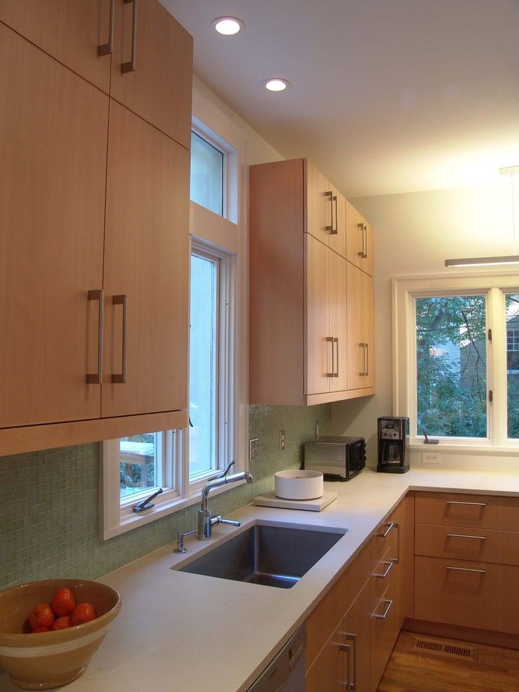 Ikea Canton Mi for a Contemporary Kitchen with a Flat Panel Door and Druid Hills Kitchen Renovation by Soorikian Architecture