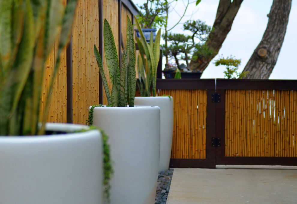 Ikea Planters for a Asian Landscape with a Asian and 5609 Residence by Jesse Im/bugonmyleaf