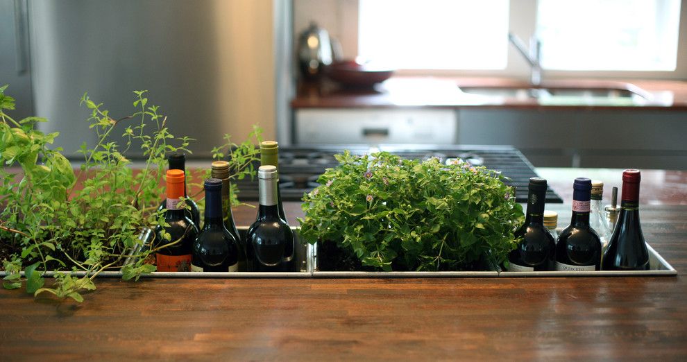 Ikea Planters for a Contemporary Kitchen with a Kitchen Island and Planter Detail by Bonfigli Design