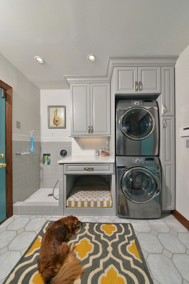 J Geils Band Love Stinks for a Traditional Laundry Room with a Dog Wash and Dogs Dream by Artistic Renovations of Ohio Llc