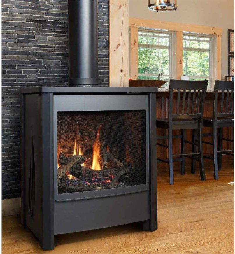 Kingsman Fireplace for a  Living Room with a Fireplace Ideas and Kingsman Millivolt Free Standing Direct Vent Gas Stove in Charcoal by Homeclick