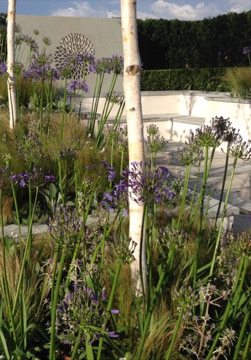 Lanier Tech College for a Contemporary Landscape with a Grasses and Silver Gilt for Bali Show Garden at the 2014 Rhs Flower Show Tatton Park by British Association of Landscape Industries