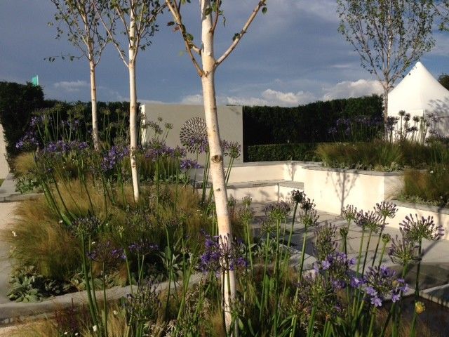 Lanier Tech College for a Contemporary Landscape with a Grasses and Silver Gilt for Bali Show Garden at the 2014 Rhs Flower Show Tatton Park by British Association of Landscape Industries