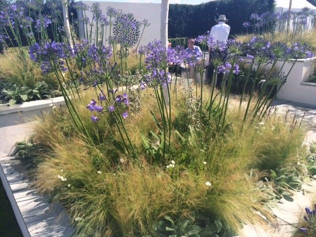 Lanier Tech College for a Contemporary Landscape with a Tatton Park and Silver Gilt for Bali Show Garden at the 2014 Rhs Flower Show Tatton Park by British Association of Landscape Industries