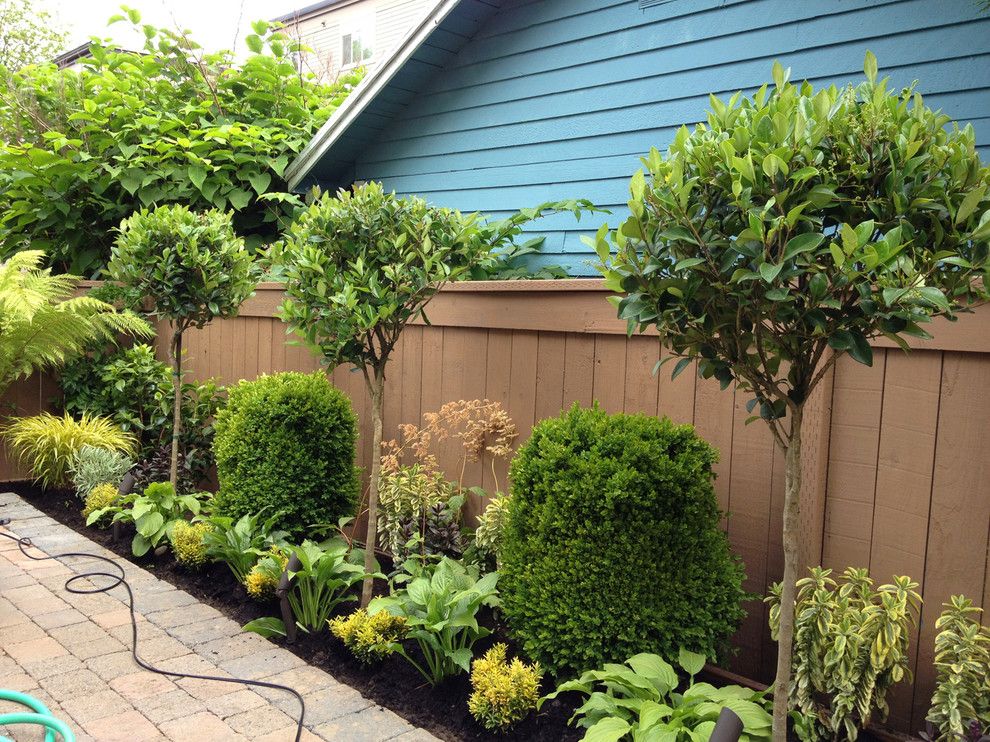 Leaf Cutter Bees for a Traditional Landscape with a Traditional and Recent Projects   Queen Anne Townhome by Folia Horticultural + Design