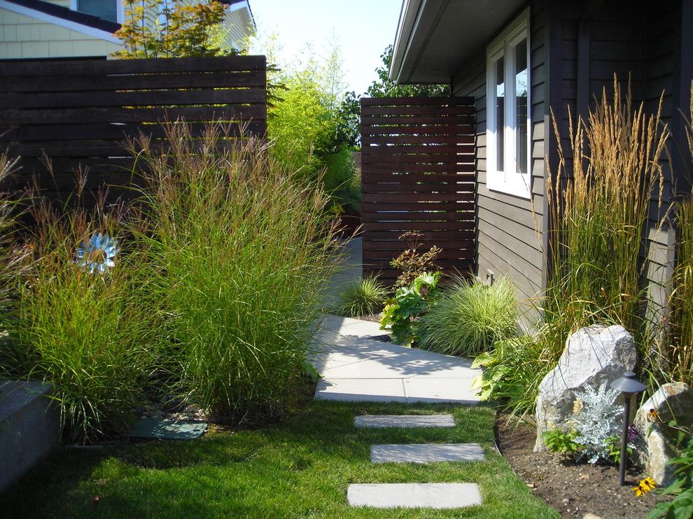 Lencioni for a Contemporary Landscape with a Karl Forester Grass and West Seattle Courtyard by Greener Living Solutions, Inc