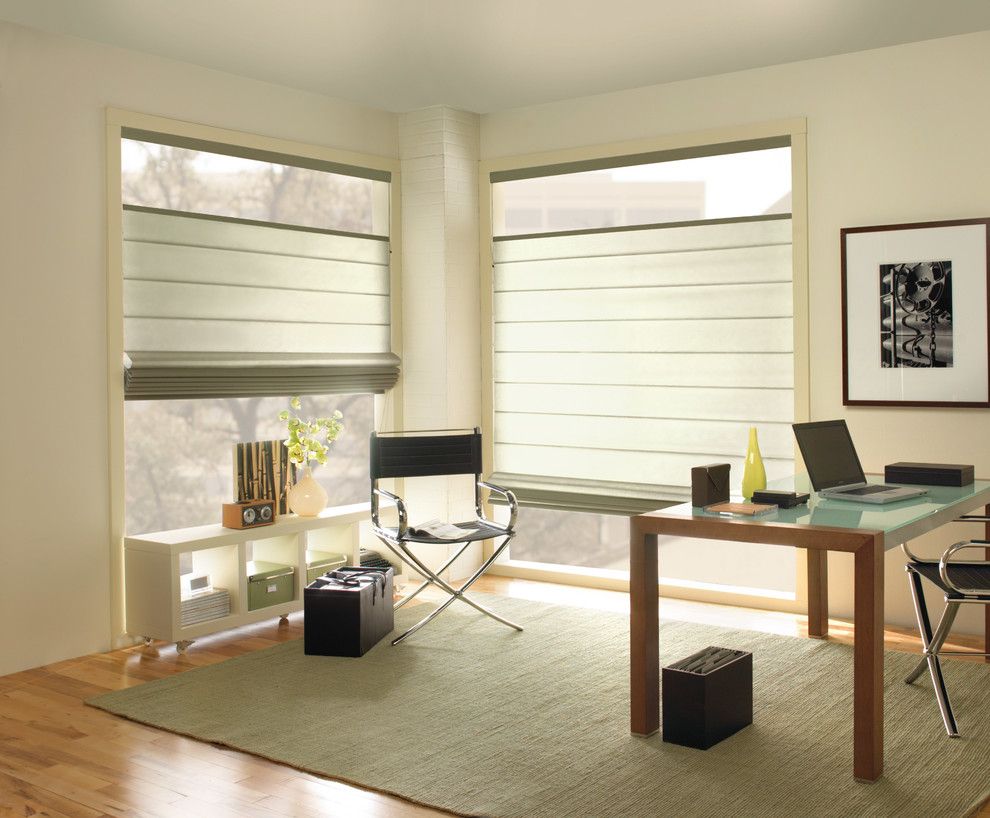 Levolor.com for a Contemporary Home Office with a Contemporary Office and Levolor Classic Roman Shade by Blinds.com