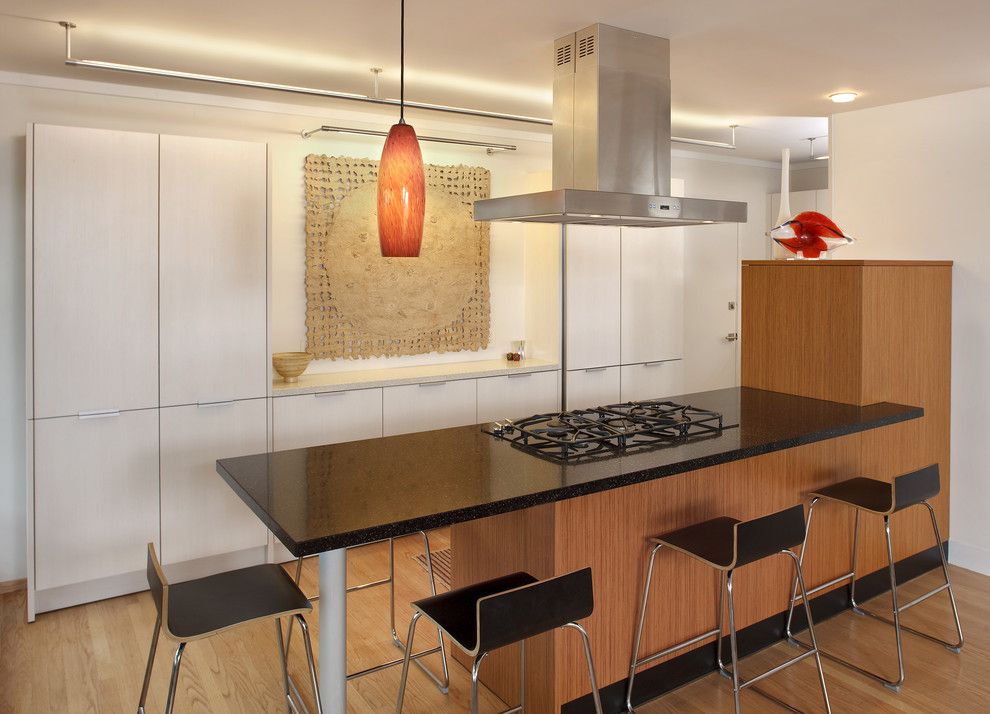 Lightolier for a Modern Kitchen with a Building Design and Amy Alper by Amy A. Alper, Architect