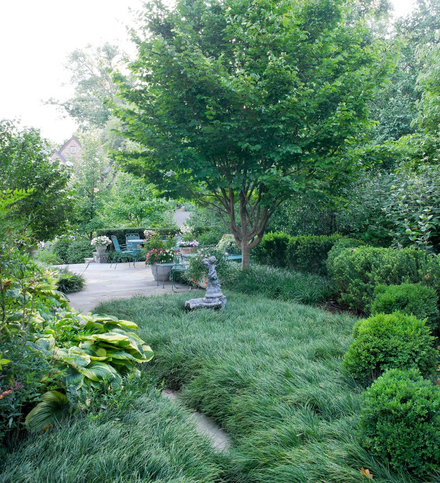 Lowes Bangor Maine for a Traditional Landscape with a Mondo Grass and Northern Arlington Residence by Scott Brinitzer Design Associates