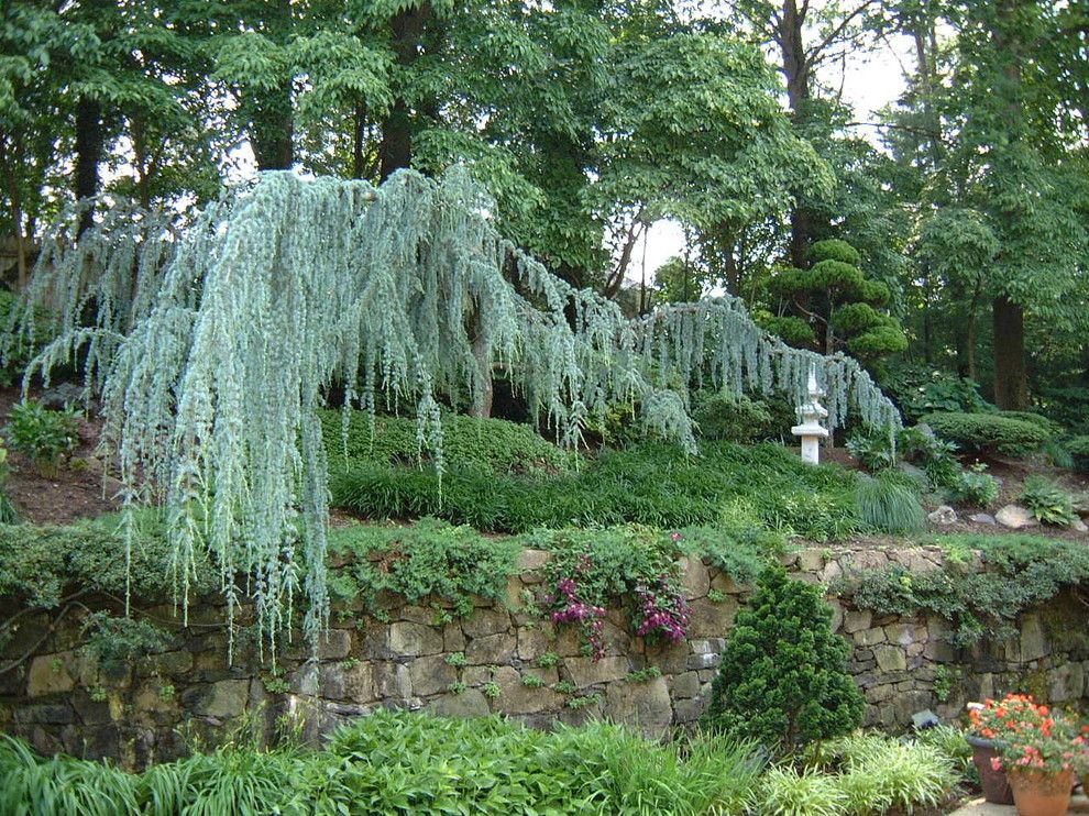 Lowes Cedar Rapids for a Traditional Landscape with a Japanese Garden Design and Landscape Design and Installation by Lee's Oriental Landscape Art