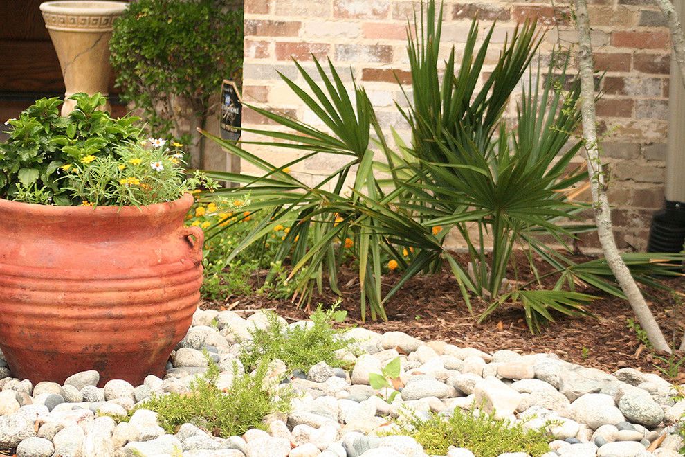 Lowes Dallas for a Traditional Landscape with a Agave and Water Efficient Landscape Renovation by Verdant Grounds