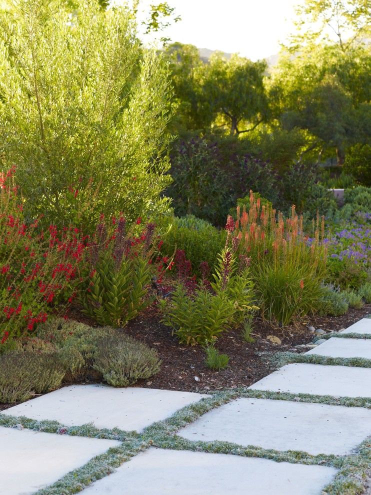 Lowes Huber Heights for a Mediterranean Landscape with a California and Avila Valley Estate by Jeffrey Gordon Smith Landscape Architecture