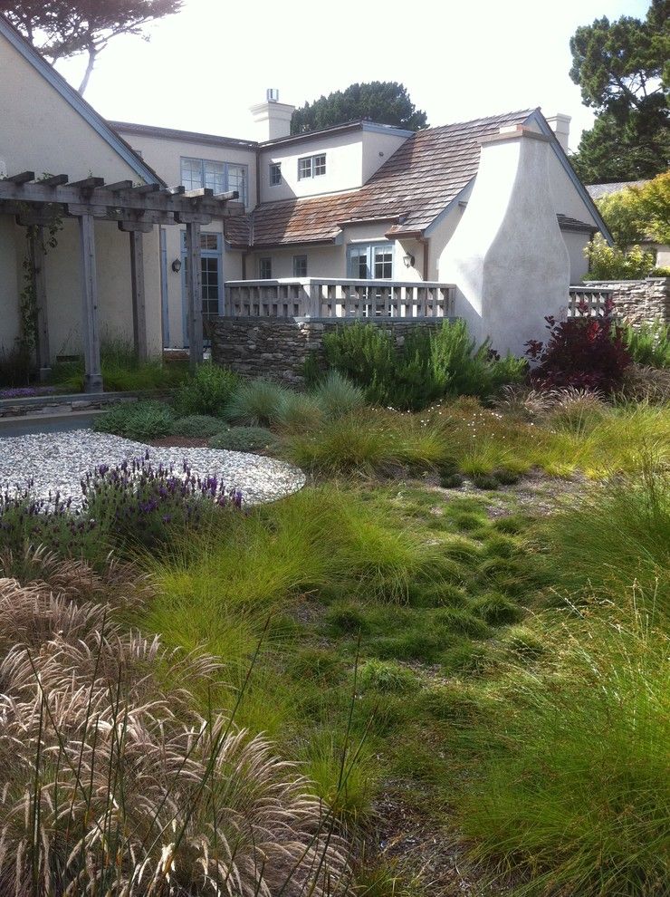 Lowes Palmdale Ca for a Mediterranean Landscape with a Grasses and Robert Shuler Design by Robert Shuler Design