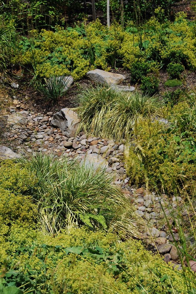 Lowes Yuba City for a Contemporary Landscape with a Contemporary and Decorative Stormwater Swale by Samuel H. Williamson Associates