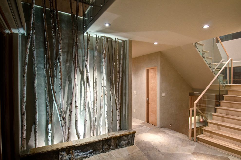 Magnolia Tree Care for a Contemporary Hall with a Recessed Lighting and Cliff Line Road     Golden Co by Jon Eady Photographer