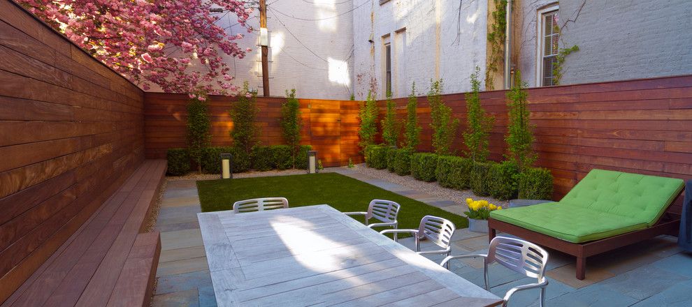 Magnolia Tree Care for a Modern Landscape with a Clematis and Brooklyn Heights Modern Garden by Little Miracles Designs