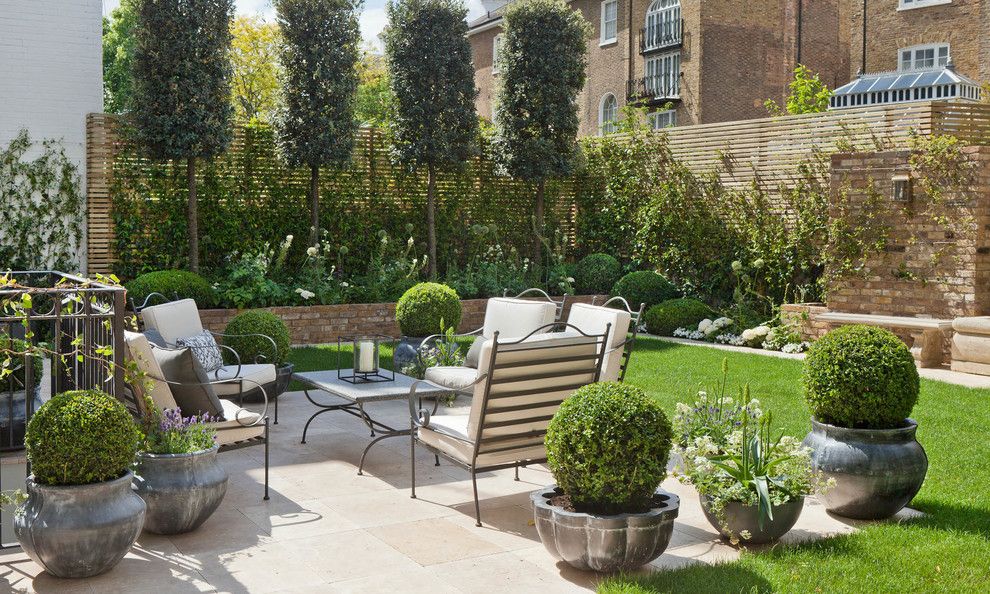 Magnolia Tree Care for a Traditional Patio with a Climbing Plants and Cresswell Place by Stefano Marinaz Landscape Architecture