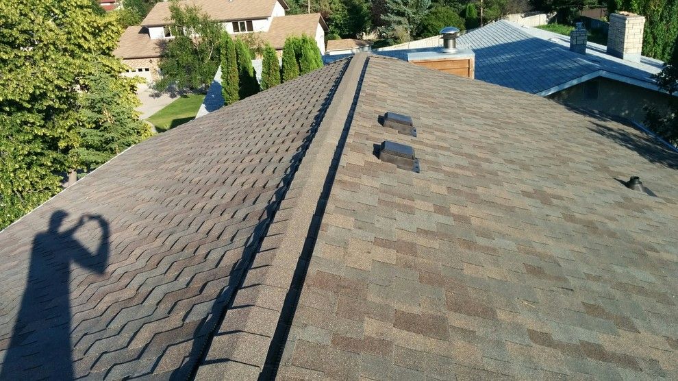 Malarkey Shingles for a Traditional Exterior with a 50 Year and Misc Roofing by Piller & Putz Construction