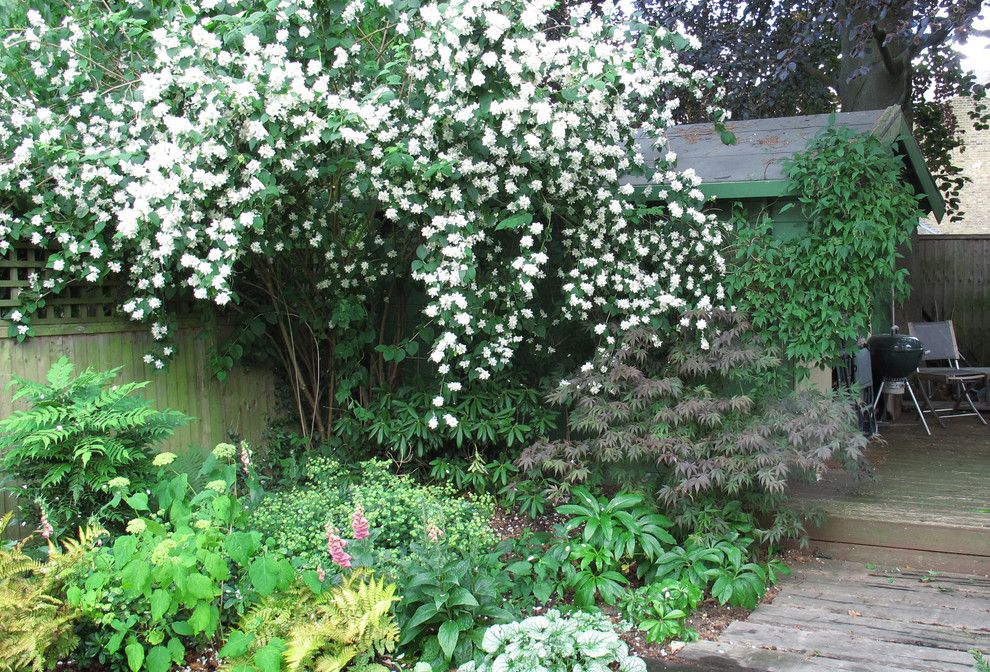 Maple Lawn Md for a Traditional Landscape with a Side Return and Garden with Oval Lawns by Fenton Roberts Garden Design