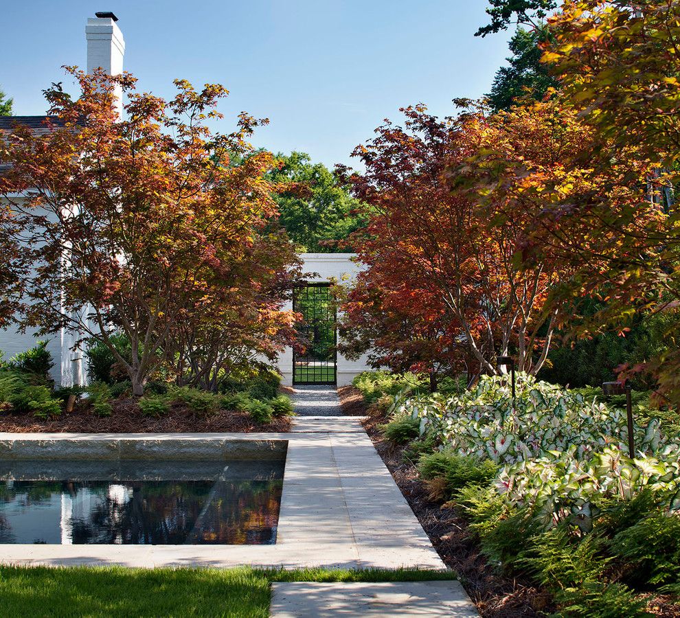 Maple Lawn Md for a Transitional Landscape with a Landscape and North Louisiana Pool and Cabana by Chipper Hatter Architectural Photographer