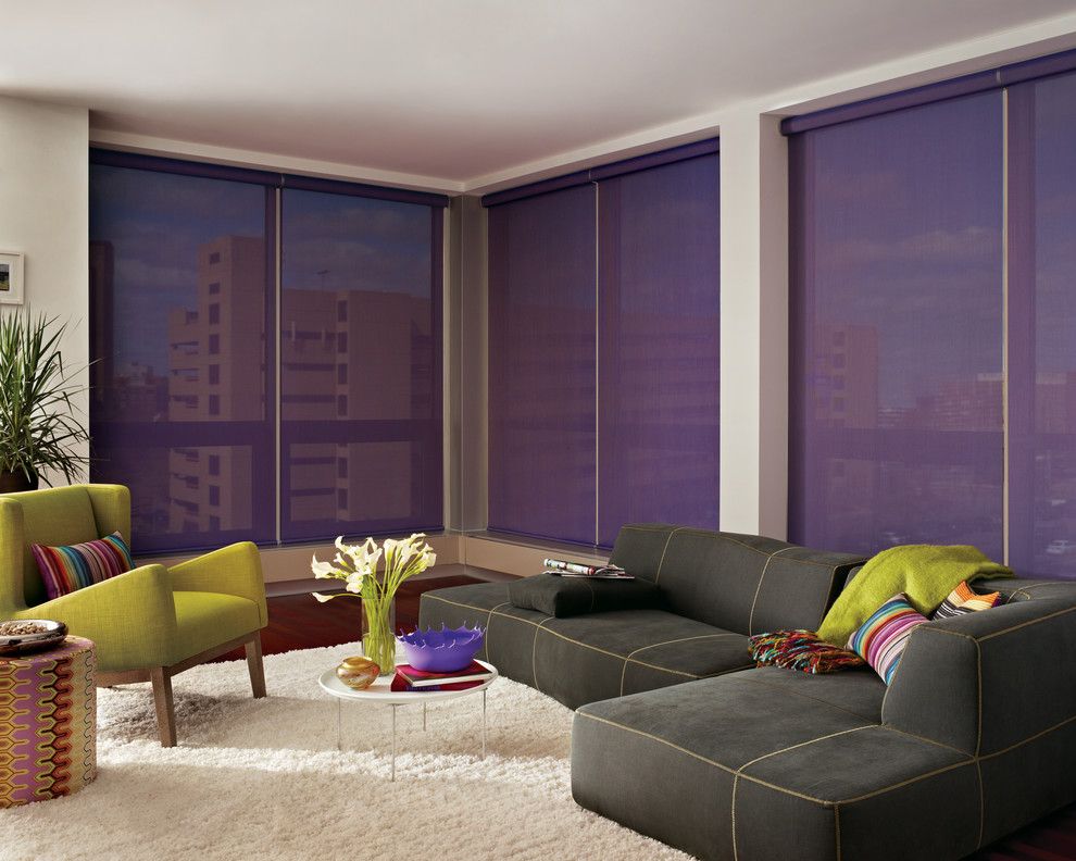 Mechoshade for a Contemporary Living Room with a Lightfiltering and Home Automation & Motorization by Blinds & Designs