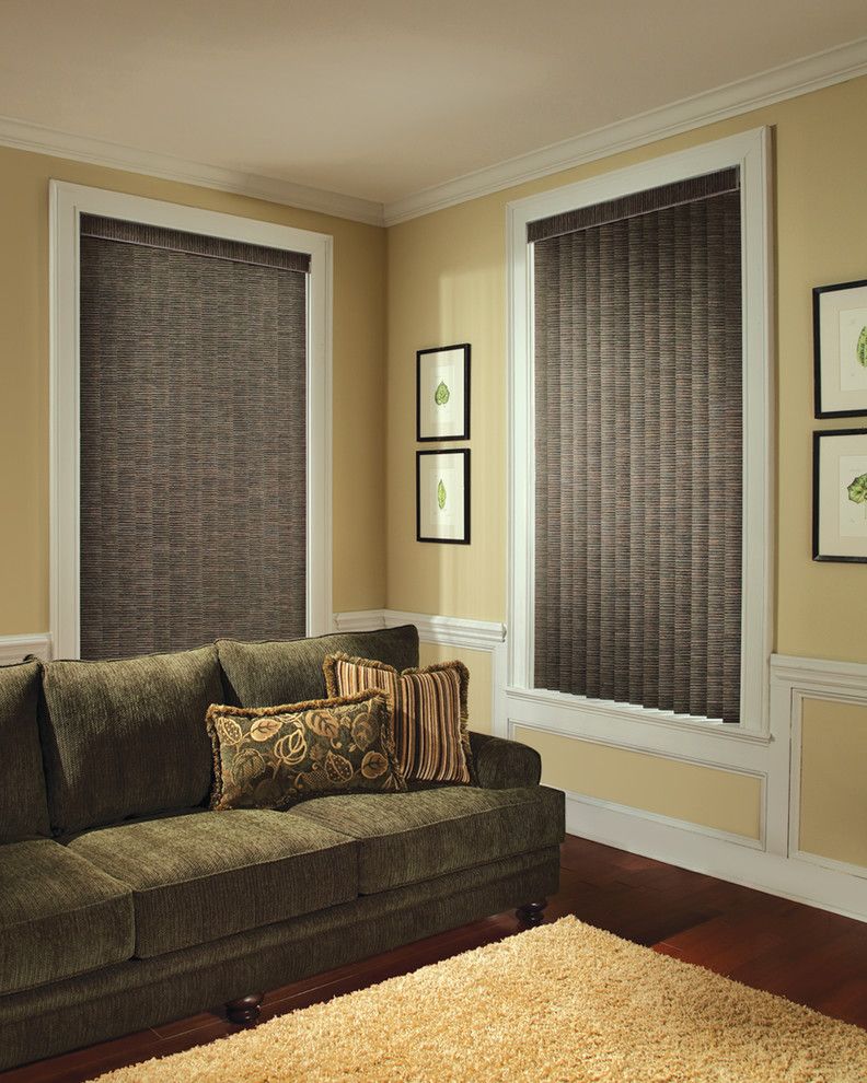 Mechoshade for a Contemporary Living Room with a Powerise and Home Automation & Motorization by Blinds & Designs