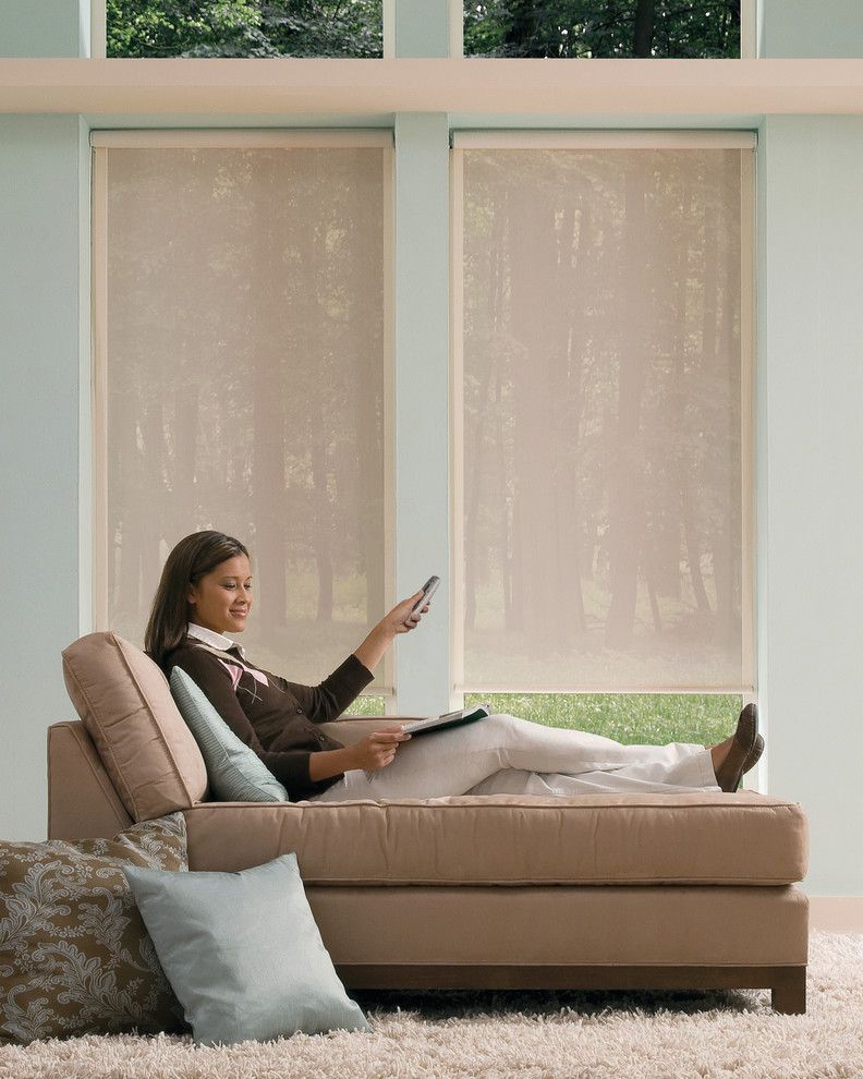 Mechoshade for a Contemporary Living Room with a Powerise and Home Automation & Motorization by Blinds & Designs