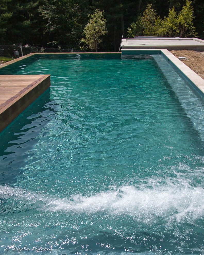 Minglewood for a Contemporary Pool with a Brownstone and Sanderson Knoll by Minglewood