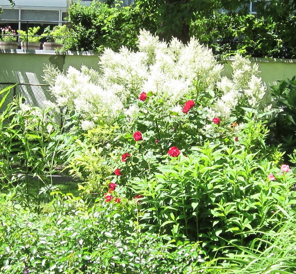 Montreal Botanical Garden for a  Landscape with a  and Red and White at Mid Summer. by Garden Guru Montreal